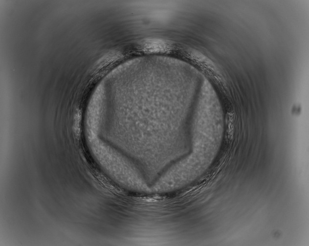 X0000097890550200804041313