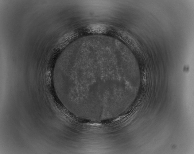 X0000097890551200804041313