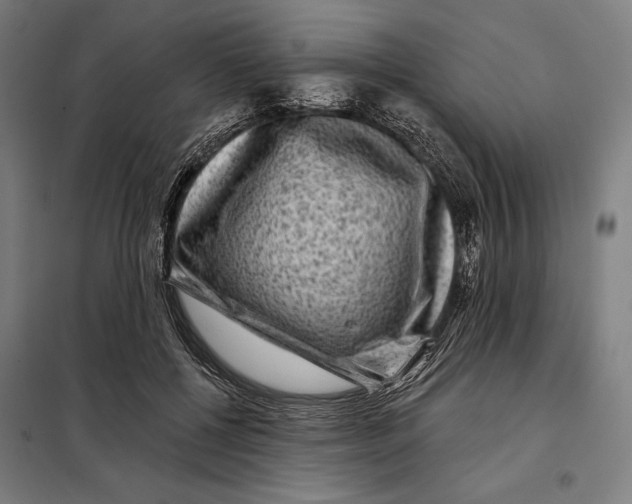 X0000097890552200804041313