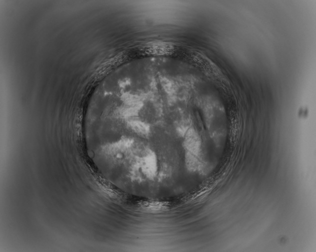 X0000097890553200804041313