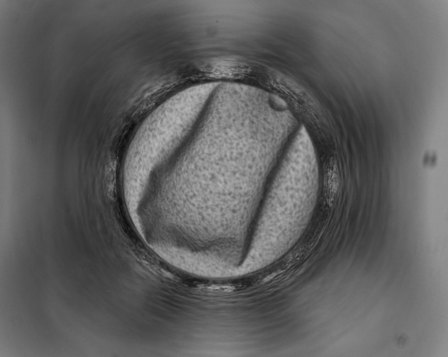 X0000097890554200804041313