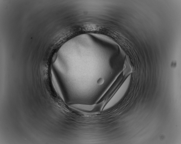 X0000097890556200804041313