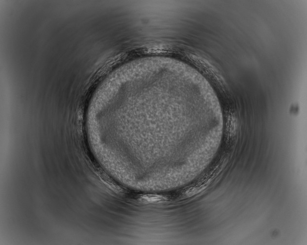 X0000097890557200804041313