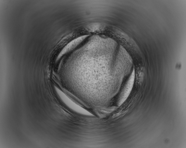 X0000097890558200804041313