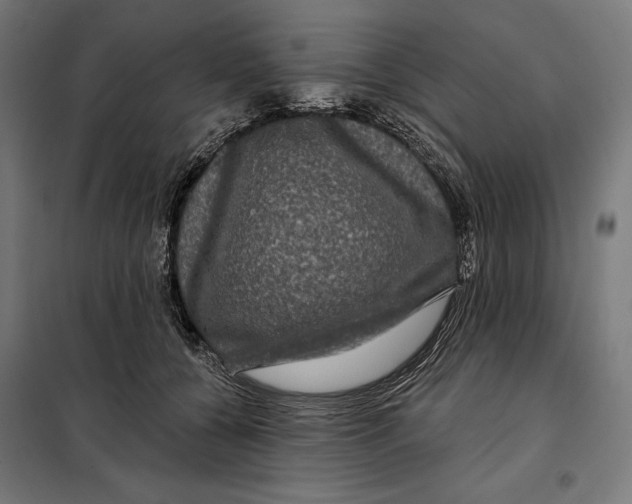 X0000097890560200804041313