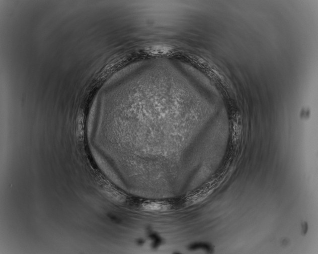 X0000097890561200804041313