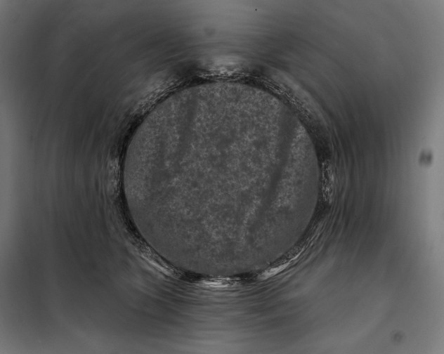 X0000097890563200804041313