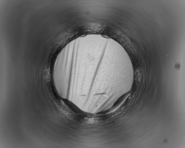 X0000097890564200804041313