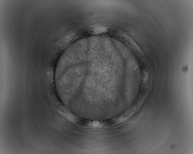 X0000097890565200804041313