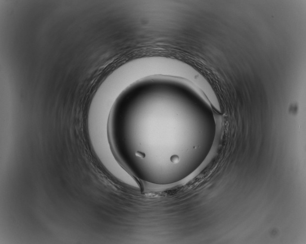 X0000097890566200804041313