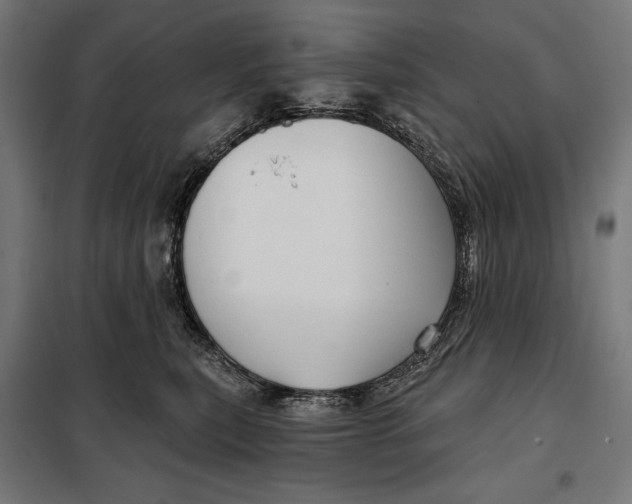 X0000097890567200804041313