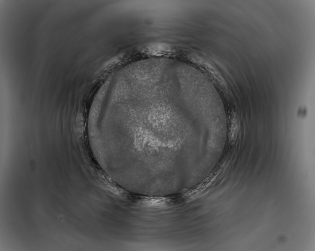 X0000097890569200804041313