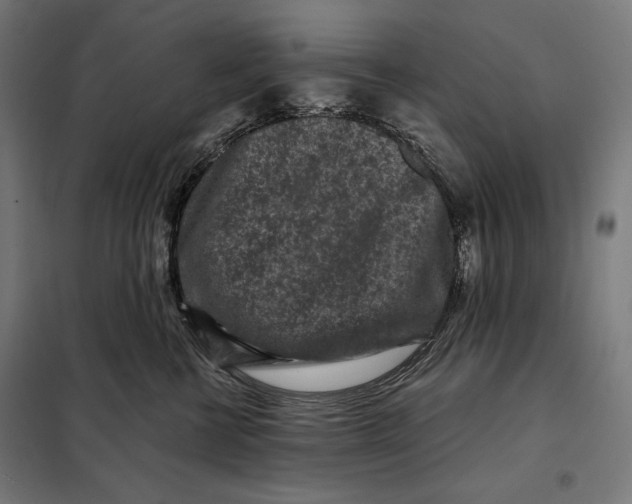 X0000097890570200804041313