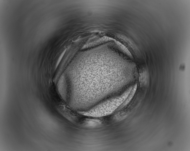 X0000097890572200804041313