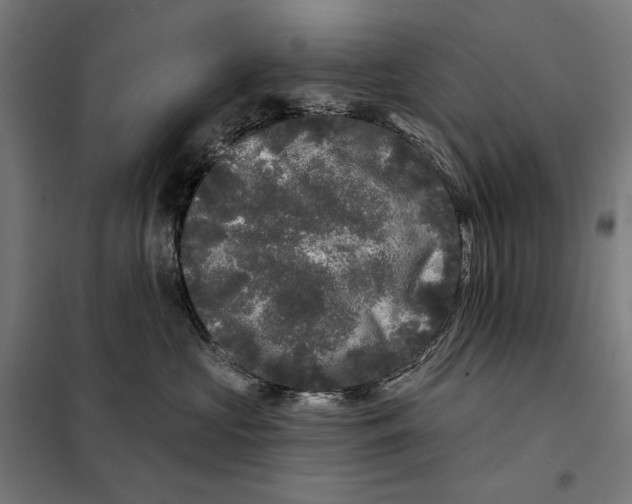 X0000097890573200804041313