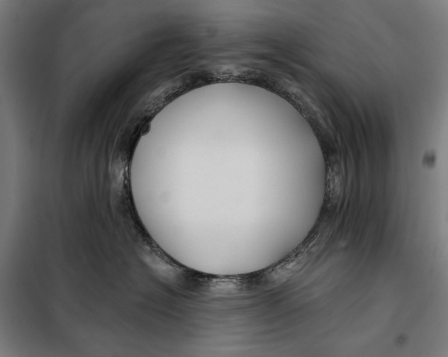 X0000097890574200804041313