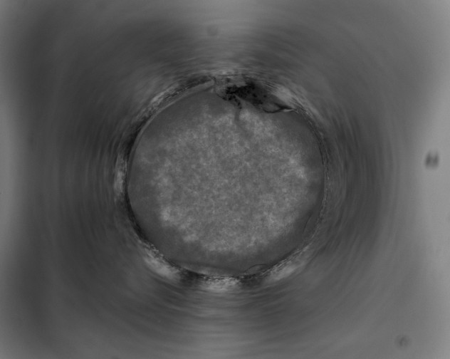 X0000097890576200804041313