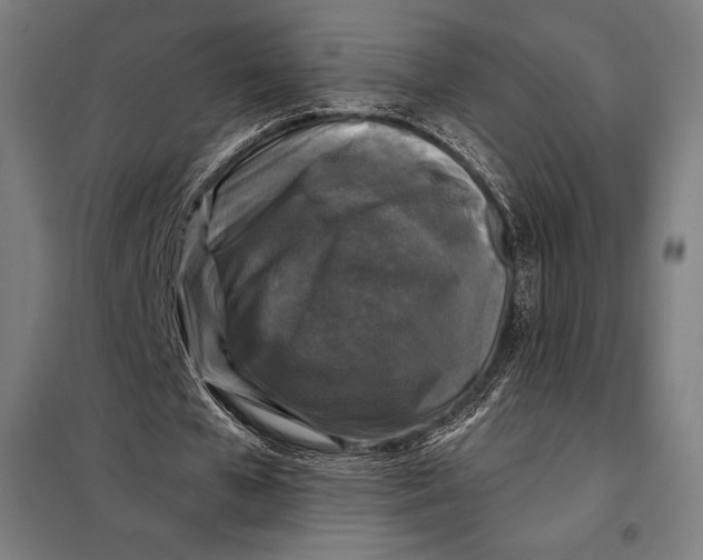 X0000097890577200804041312