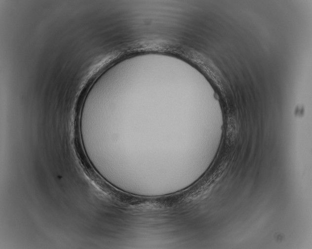 X0000097890578200804041312