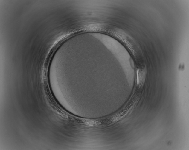 X0000097890579200804041312