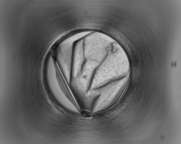 X0000097890580200804041312