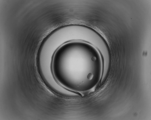 X0000097890581200804041312