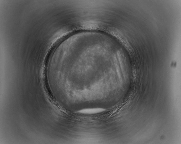 X0000097890583200804041312