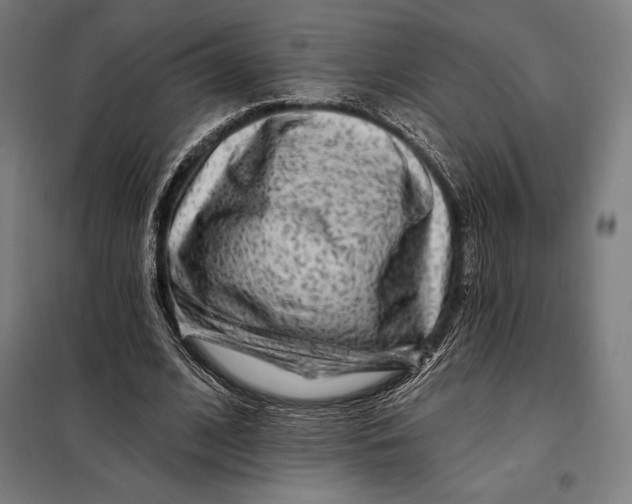 X0000097890584200804041312