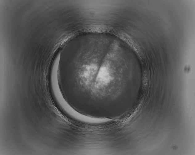 X0000097890585200804041312