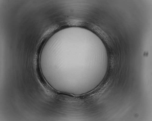 X0000097890586200804041312