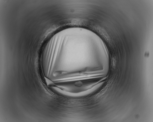 X0000097890588200804041312