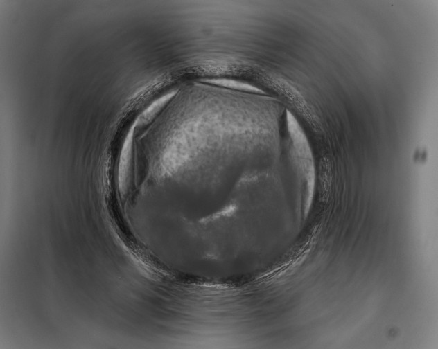 X0000097890590200804041312