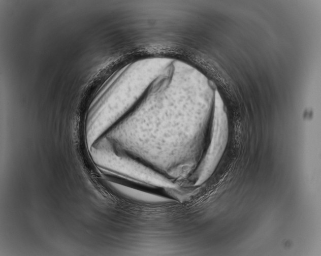 X0000097890592200804041312