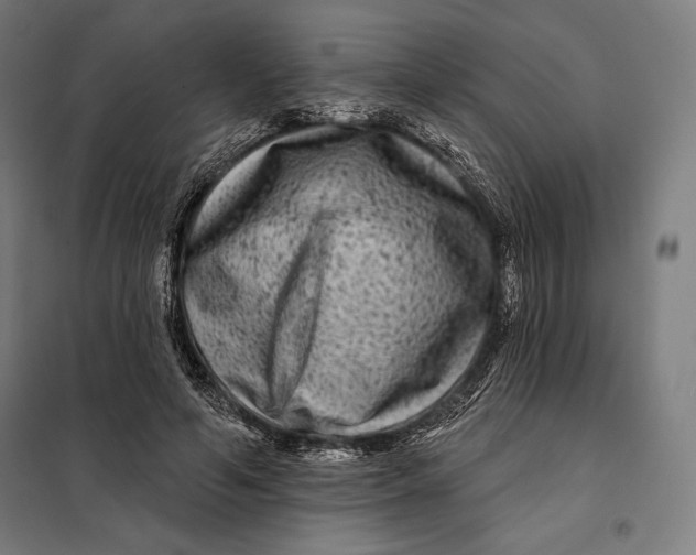 X0000097890594200804041312