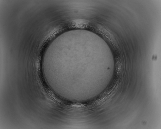 X0000097890595200804041312