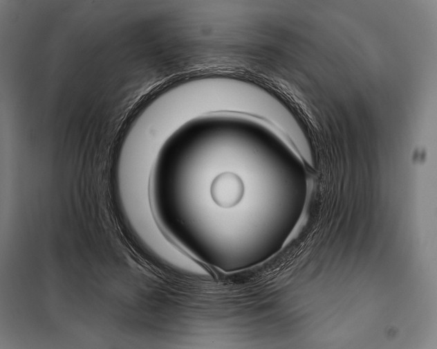 X0000097890596200804041312