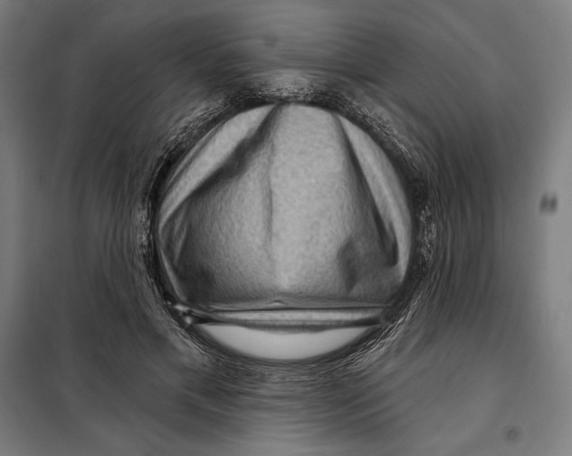 X0000097890597200804041312