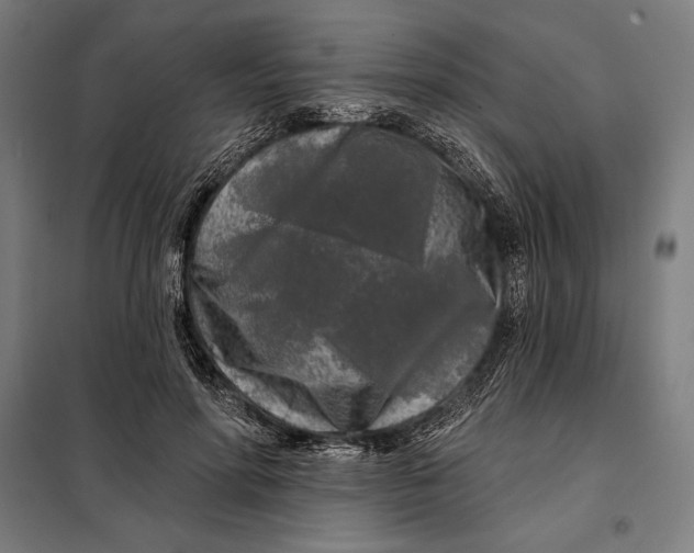 X0000097890598200804041312