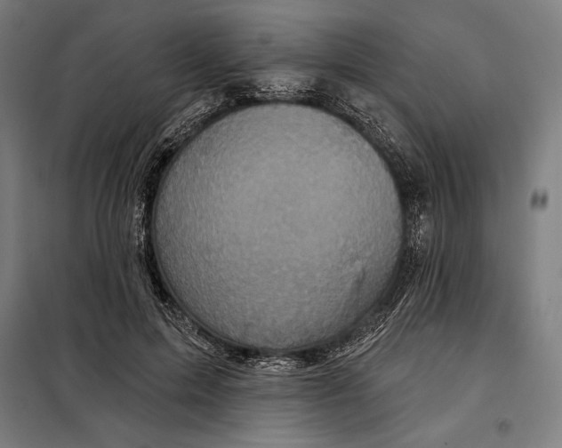 X0000097890599200804041312