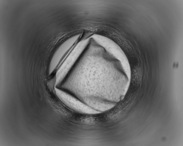 X0000097890600200804041312