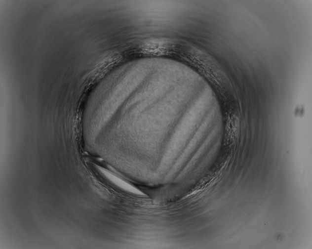 X0000097890601200804041312