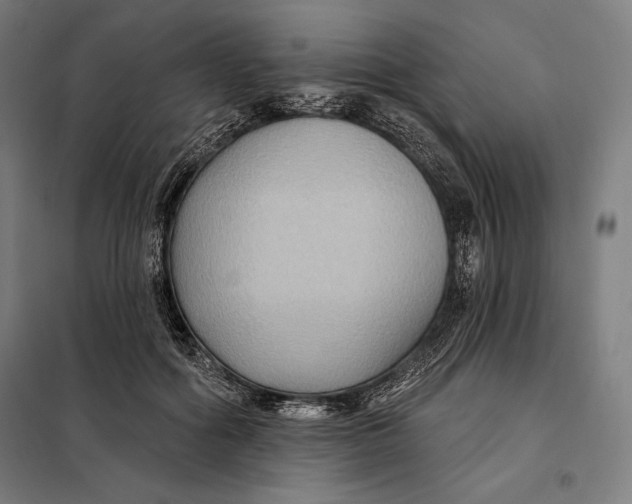 X0000097890602200804041312