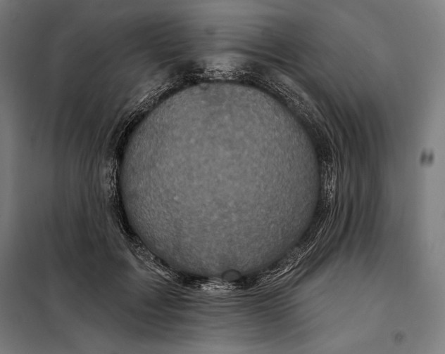 X0000097890603200804041312