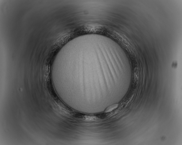 X0000097890605200804041312