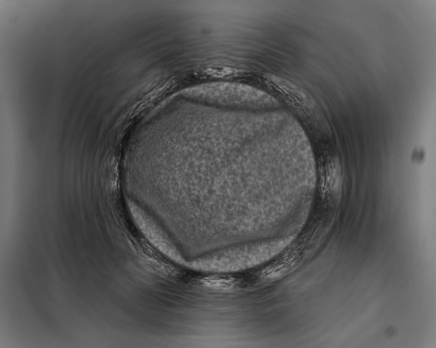 X0000097890606200804041312