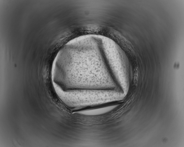 X0000097890608200804041312