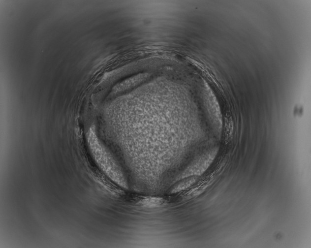 X0000097890609200804041312