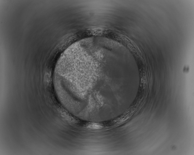 X0000097890610200804041312