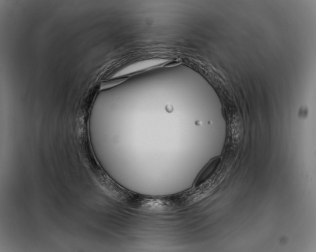 X0000097890611200804041312