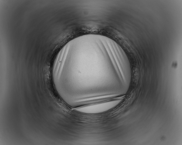 X0000097890612200804041312